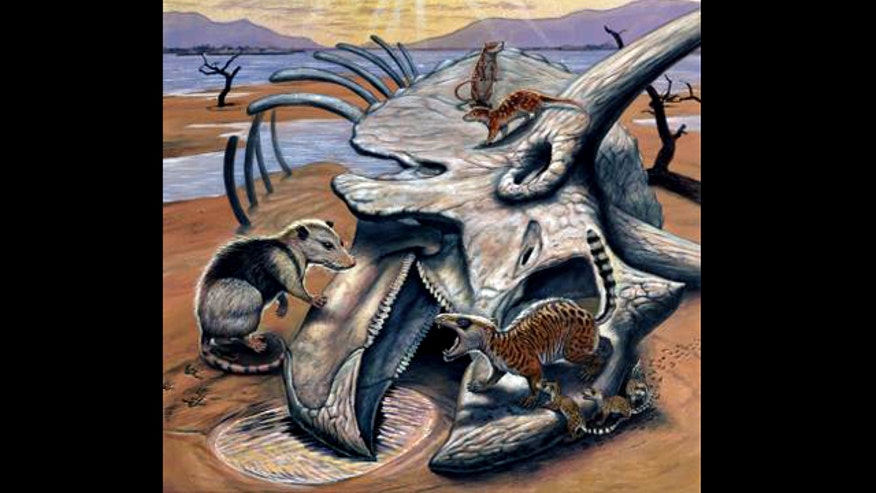 The Last Dinosaur